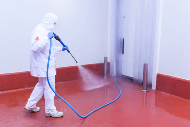Best Spring Cleaning  in Conyers, GA